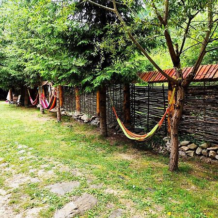 Cabana Frasin Dragoslavele Esterno foto