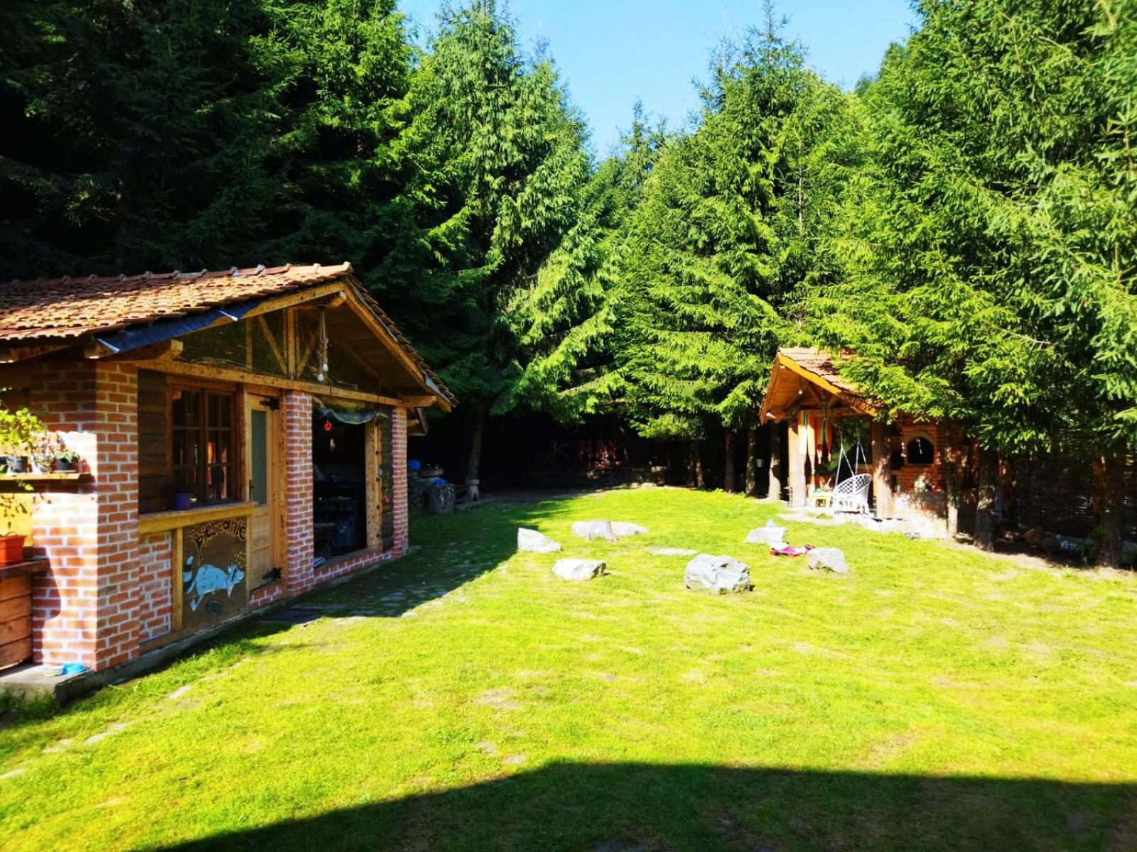 Cabana Frasin Dragoslavele Esterno foto